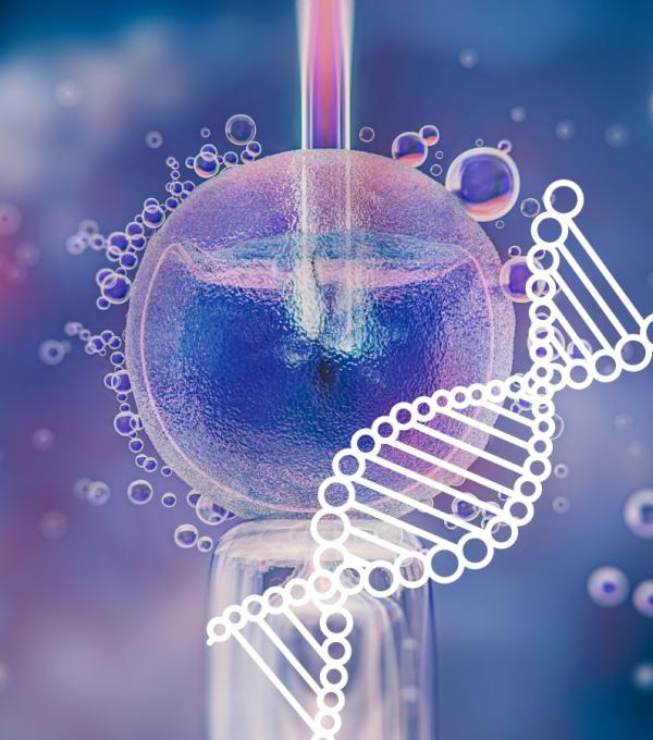 Fecundación In Vitro Max